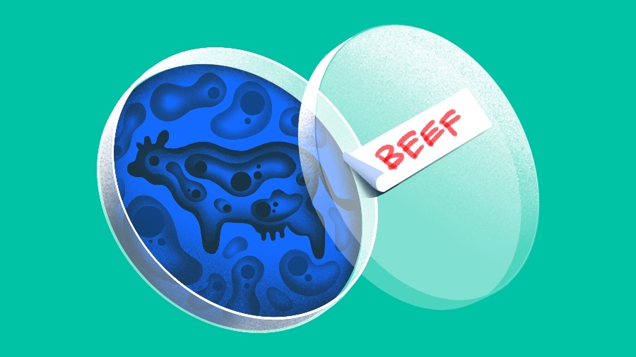 Illustration of a petri dish with a rendering of a cow and labeled "Beef"