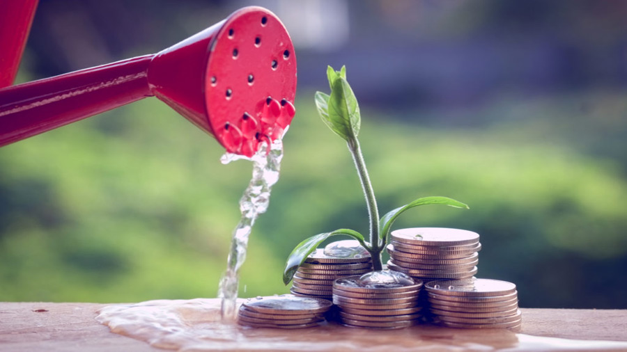 Watering plant growing from a pile of money