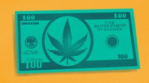 Illustration of $100 bill with Cannabis plant art